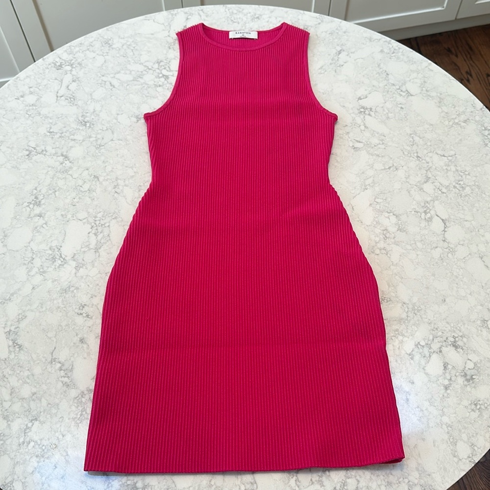 Babaton Aritizia dress- worn once